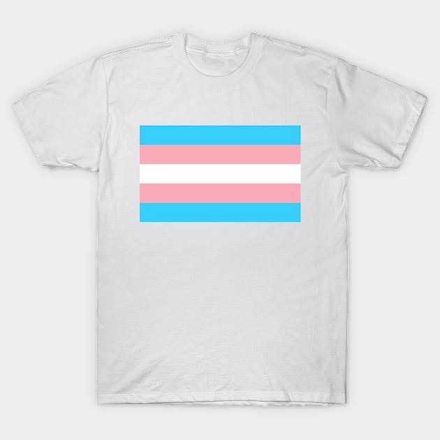 Trans Flag T-Shirt by DorothyGoesGlamping